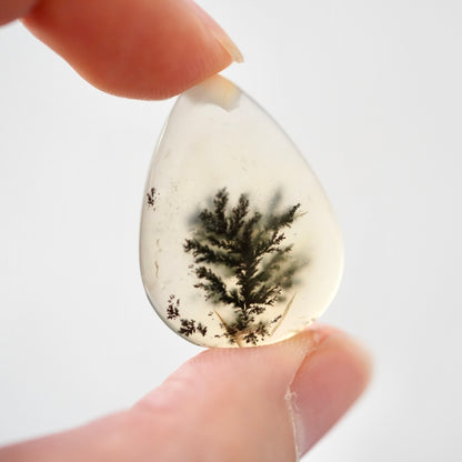 ‘Solitary Pine’ Dendritic Opal Agate Teardrop Cabochon - 29.5mm x 21.5mm (W16)