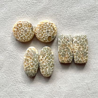 17-25mm Honeycomb Fossil Coral Cabochon Pairs - Choose your Pair (W5)