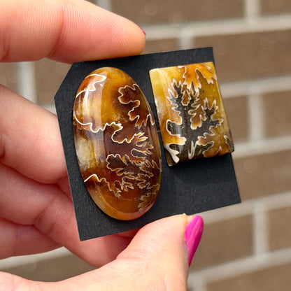 Suture-pattern Ammonite Fossil Cabochon - Choose your Stone (W13)