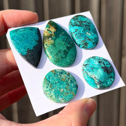 *RARE* Gem Silica/Chrysocolla in Chalcedony (Bacan Stone) Cabochon Smooth - Choose your Stone (W15)
