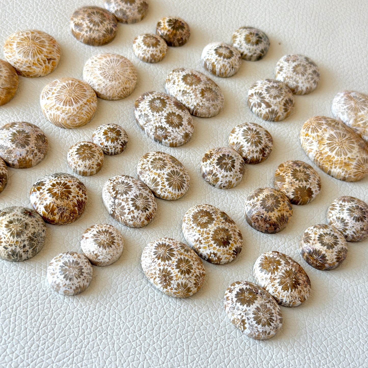 Cream/Beige Fossilised Coral Cabochon Pairs (Round & Oval) - Choose your Pair (W1)