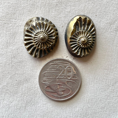 Pyritized Negative Ammonite Fossil Cabochon - Choose your Stone (W11)