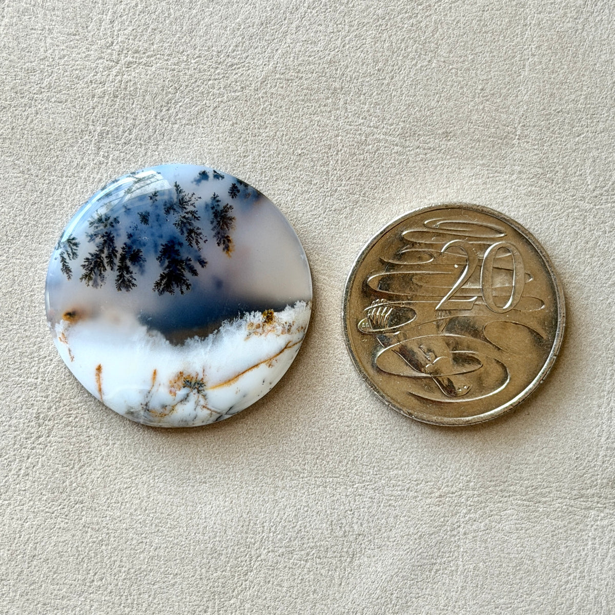‘Winter Canopy' Dendritic Opal Agate Round Cabochon - 33.5mm (W16)