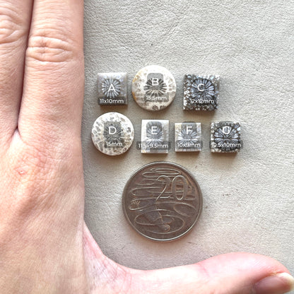 10-16mm Fossil Coral Round/Rectangle/Square Cabochon Smooth - Choose your Stone (W8)