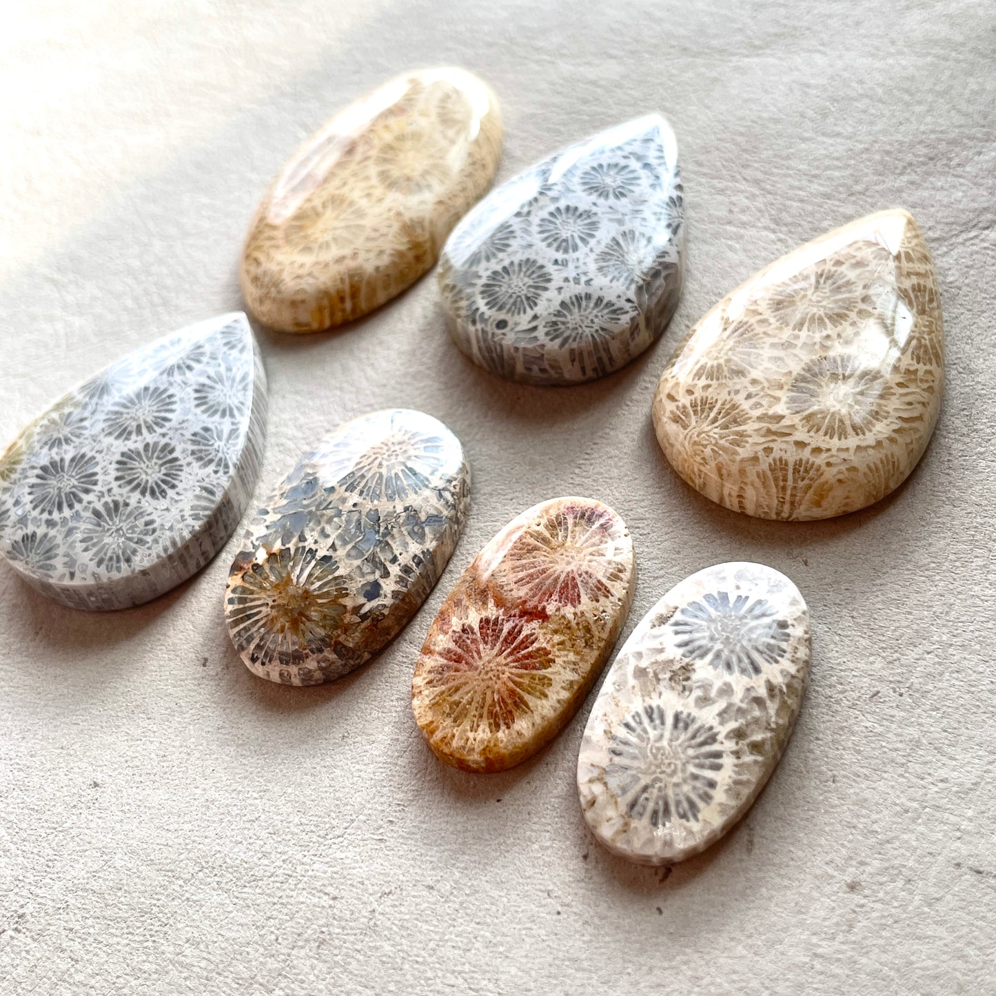 25-37mm Fossilized (Fossil) Coral Cabochon Smooth - Choose your Stone (W10)
