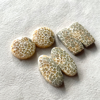 17-25mm Honeycomb Fossil Coral Cabochon Pairs - Choose your Pair (W5)