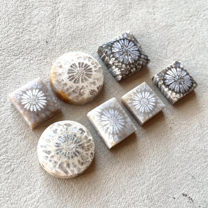 10-16mm Fossil Coral Round/Rectangle/Square Cabochon Smooth - Choose your Stone (W8)
