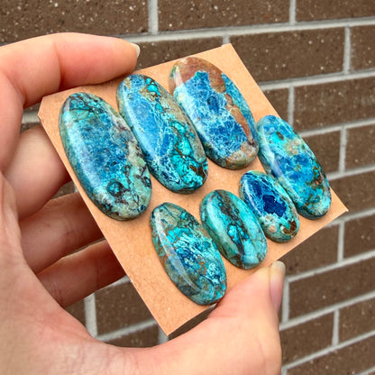 21-36mm Shattuckite (with Azurite) Cabochon Smooth - Choose your Stone - W11