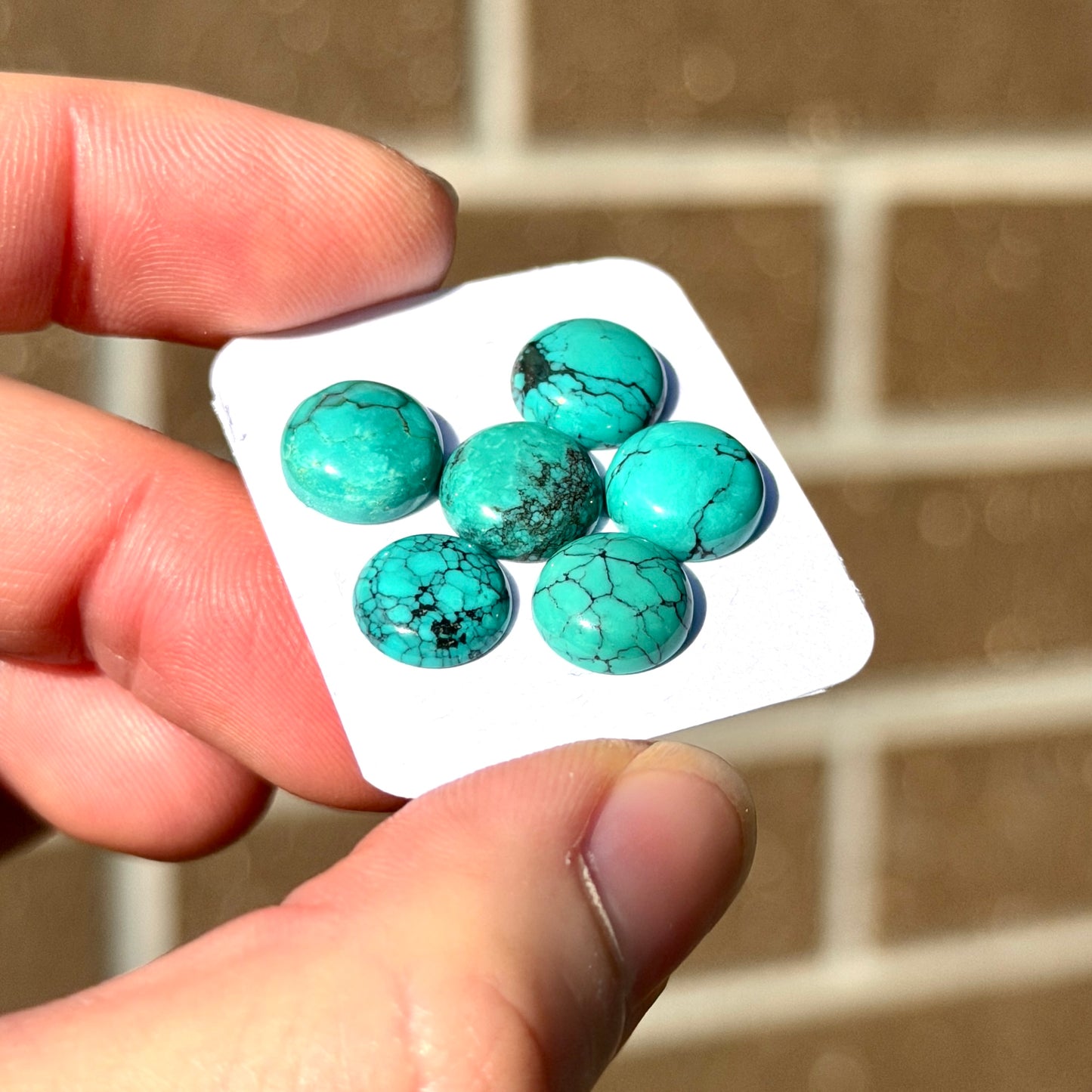 6pcs Green Hubei Turquoise round Cabochons Smooth - 9-10mm (FULL LOT) (W16)