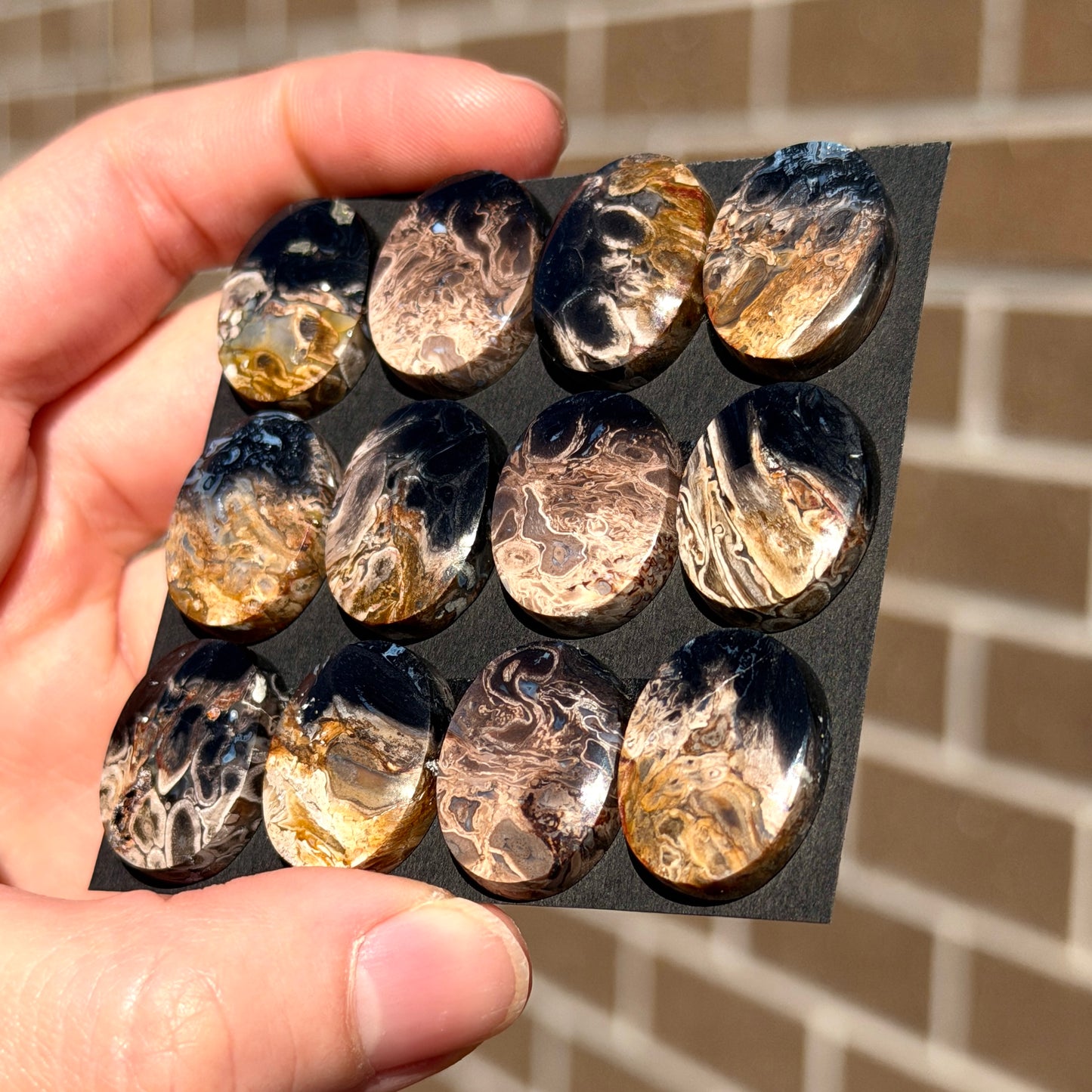 Fossilised/Petrified Black Palm Root Cabochon Oval Smooth (20x15mm) - Choose your Stone (W13)