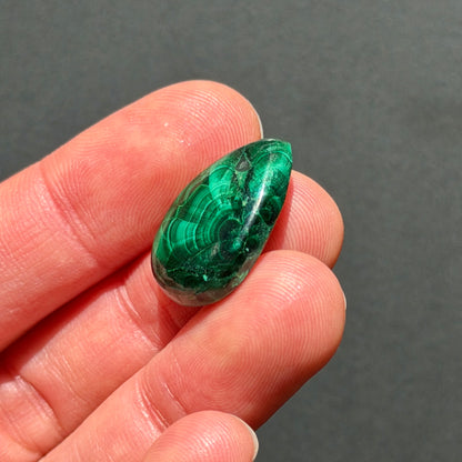 ‘Half Bloom' Chatoyant Velvet Malachite Teardrop Cabochon - 22mm x 14.5mm (W17)