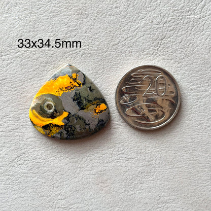 ‘Volcanic Eye’ Orbicular Bumblebee Jasper Teardrop Cabochon - 33mm x 34.5mm (W16)