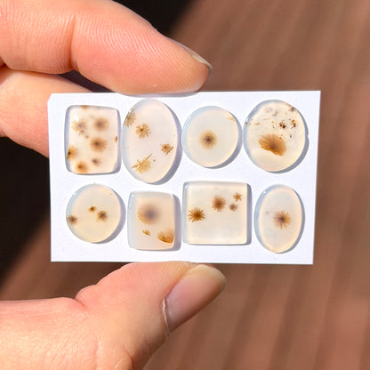 'Daisy' Scenic Agate Cabochon Smooth - Choose your Stone (W3)