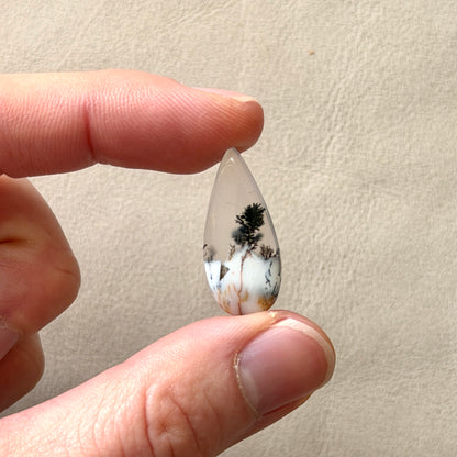 ‘Lone Pine' Dendritic Opal Agate Teardrop Cabochon - 25mm x 11mm (W3)