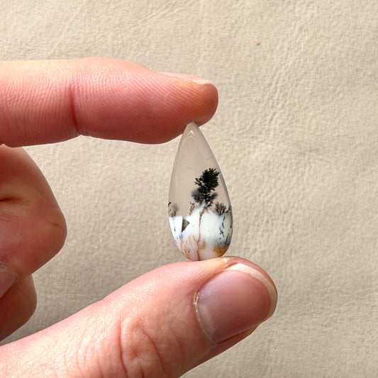 ‘Lone Pine' Dendritic Opal Agate Teardrop Cabochon - 25mm x 11mm (W3)