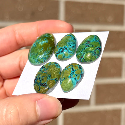 19-26mm Green with Bright Blue Veining Hubei Turquoise Cabochon Smooth (Backed) - Choose your Stone (W11)