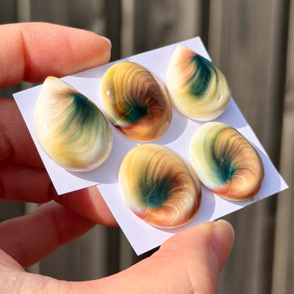 22-26mm Operculum Shell (Shiva's Eye) Cabochon Smooth - Choose your Stone (E11)