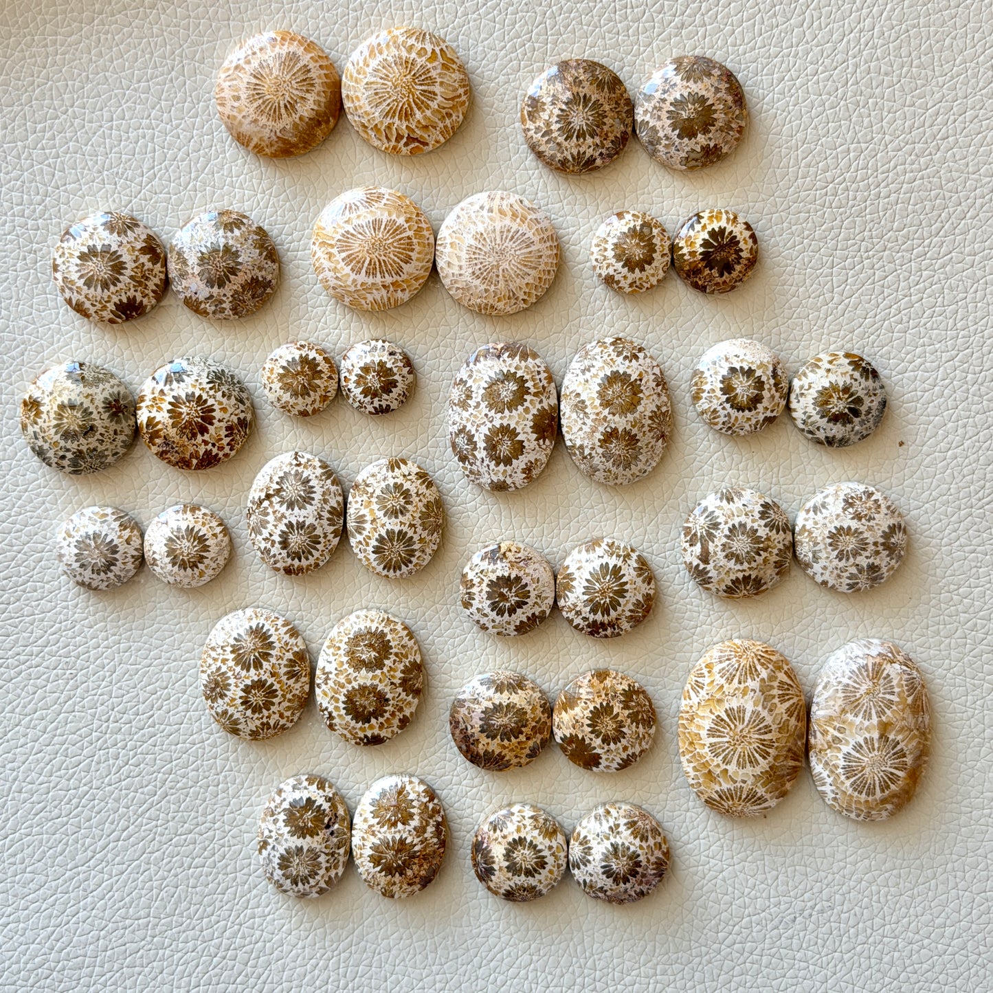 Cream/Beige Fossilised Coral Cabochon Pairs (Round & Oval) - Choose your Pair (W1)