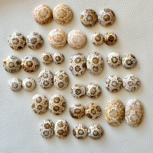 Cream/Beige Fossilised Coral Cabochon Pairs (Round & Oval) - Choose your Pair (W1)