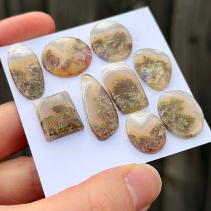 Mini Banded Moss Agate with Chalcedony (Nebula Agate) Cabochon Smooth  - Choose your Stone (W17)