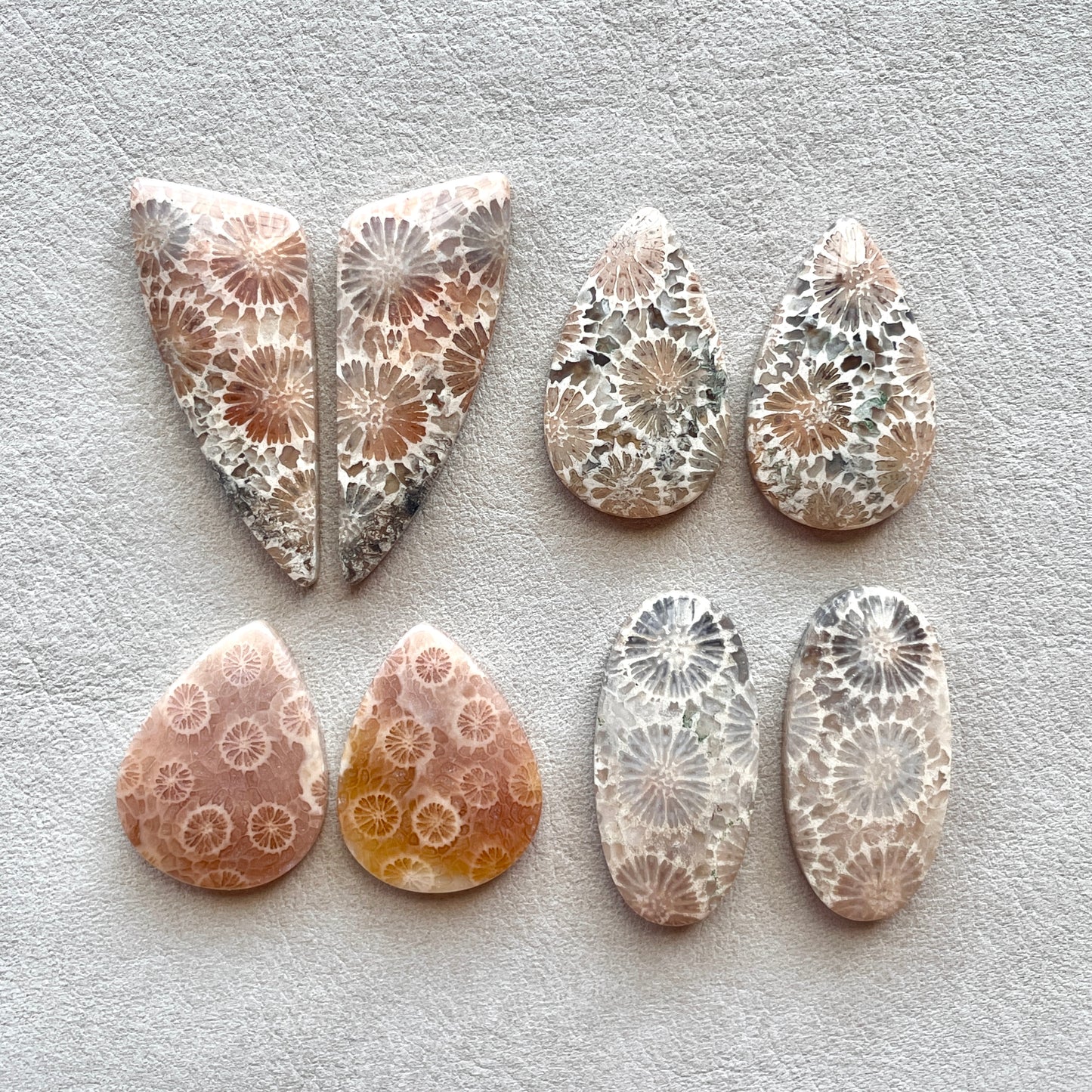 Fossil Coral Cabochon Pairs - Choose your Pair (W4)