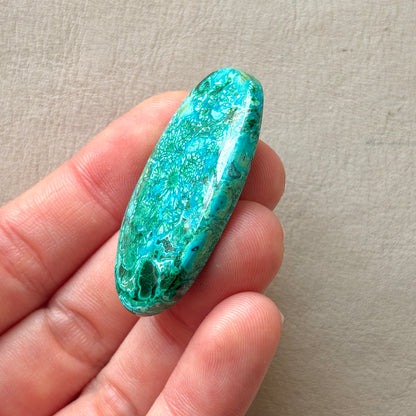 ‘Blooms’ Malachite Chrysocolla Oval Cabochon Smooth 42.5mm x 22.5mm (W8)