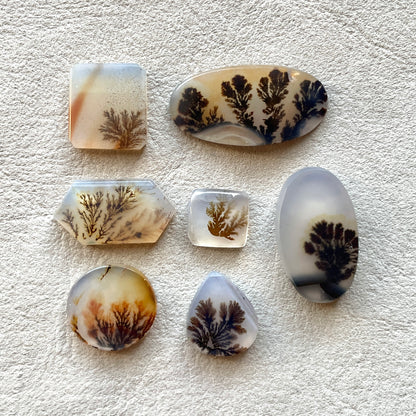 8-22mm Scenic Dendritic Agate Cabochon Smooth - Choose your Stone (H)