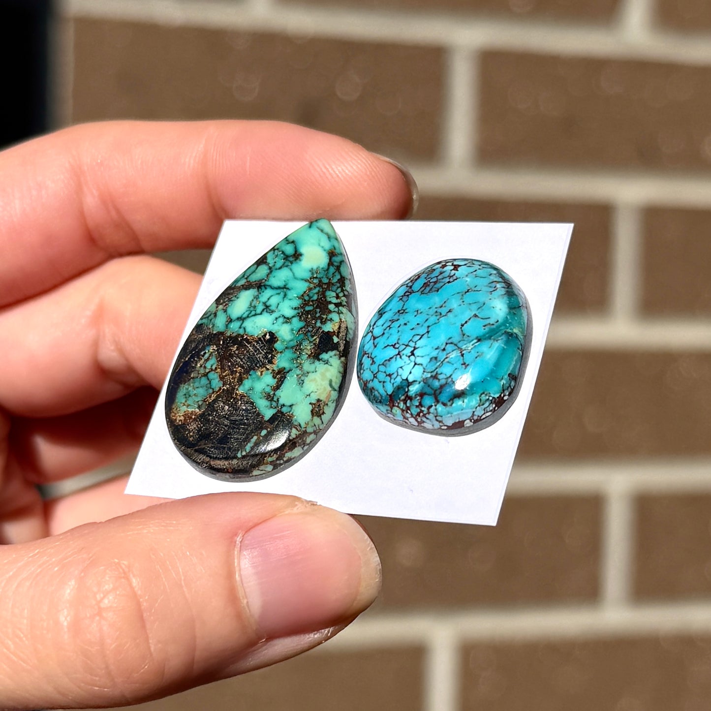 21-33mm Light Green & Robin Blue Hubei Turquoise Cabochon Smooth (Backed) - Choose your Stone (W15)