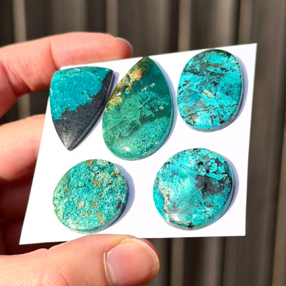 *RARE* Gem Silica/Chrysocolla in Chalcedony (Bacan Stone) Cabochon Smooth - Choose your Stone (W15)