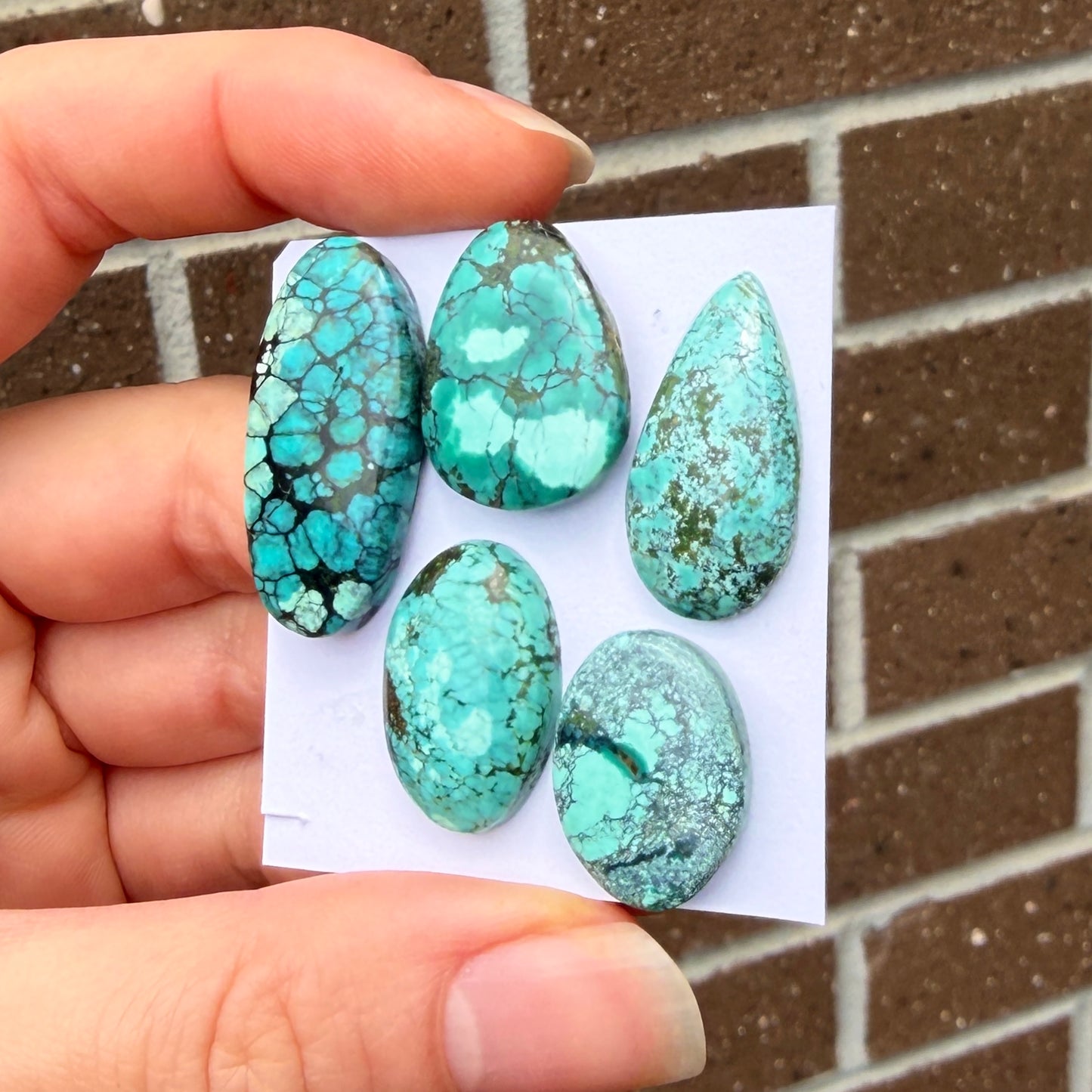18-28mm Tibetan Turquoise Cabochon Smooth  - Choose your Stone (W11)
