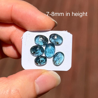 6pcs Teal Moss Kyanite Cabochons Smooth Oval - 7-8mm (FULL LOT) (W14)