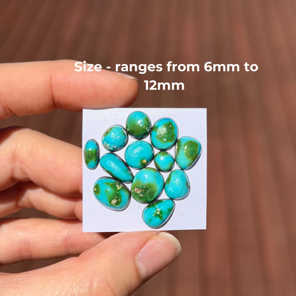 12pcs Sonoran Gold Turquoise Cabochons (Backed) Smooth - 6-12mm (FULL LOT) (W6)