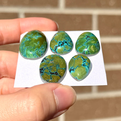 19-26mm Green with Bright Blue Veining Hubei Turquoise Cabochon Smooth (Backed) - Choose your Stone (W11)