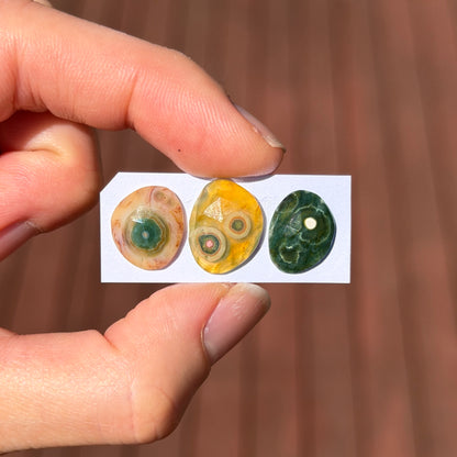 13-15mm Ocean Jasper Cabochon Rose cut - Choose your Stone (W11)