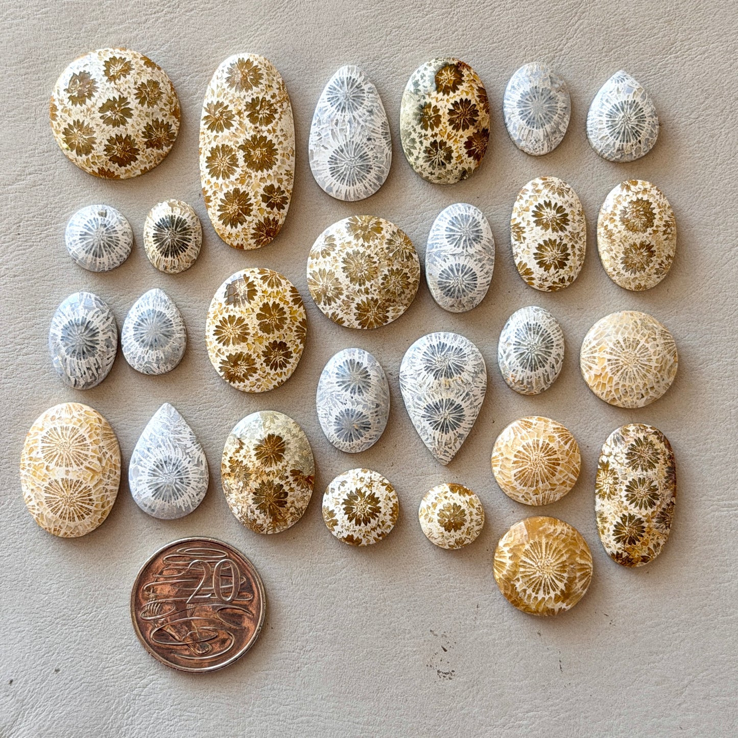 Beige/Cream/Grey Fossil Coral Cabochon Smooth - Choose your Stone (W12)