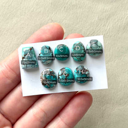 9-13mm Gobi Desert Cabochon Smooth (Backed) - Choose your Stone (W15)