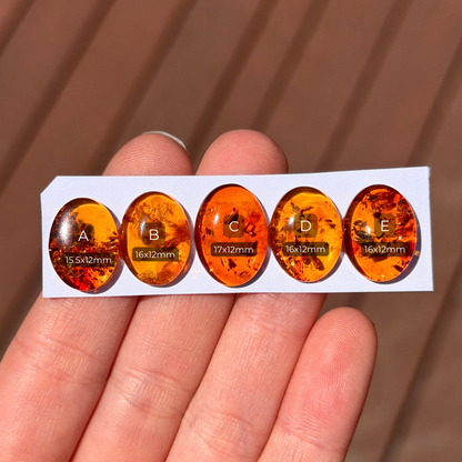 Baltic Amber Oval Cabochon Smooth - Choose your Stone (W10)