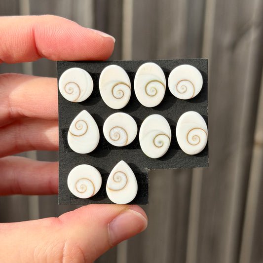 10-14mm Operculum Shell (Shiva's Eye) Cabochon Smooth - Choose your Stone (W15)
