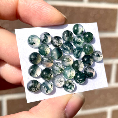 6mm Green Moss Agate Cabochons Smooth - Set of 3 (W8)