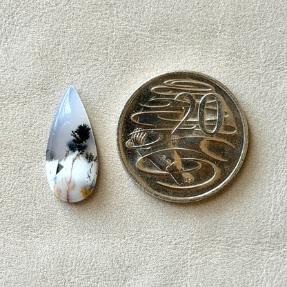 ‘Lone Pine' Dendritic Opal Agate Teardrop Cabochon - 25mm x 11mm (W3)