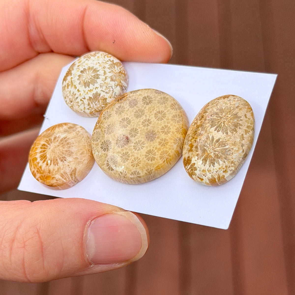 17-25mm Cream Fossilised Coral Cabochon Smooth - Choose your Stone (A)W2