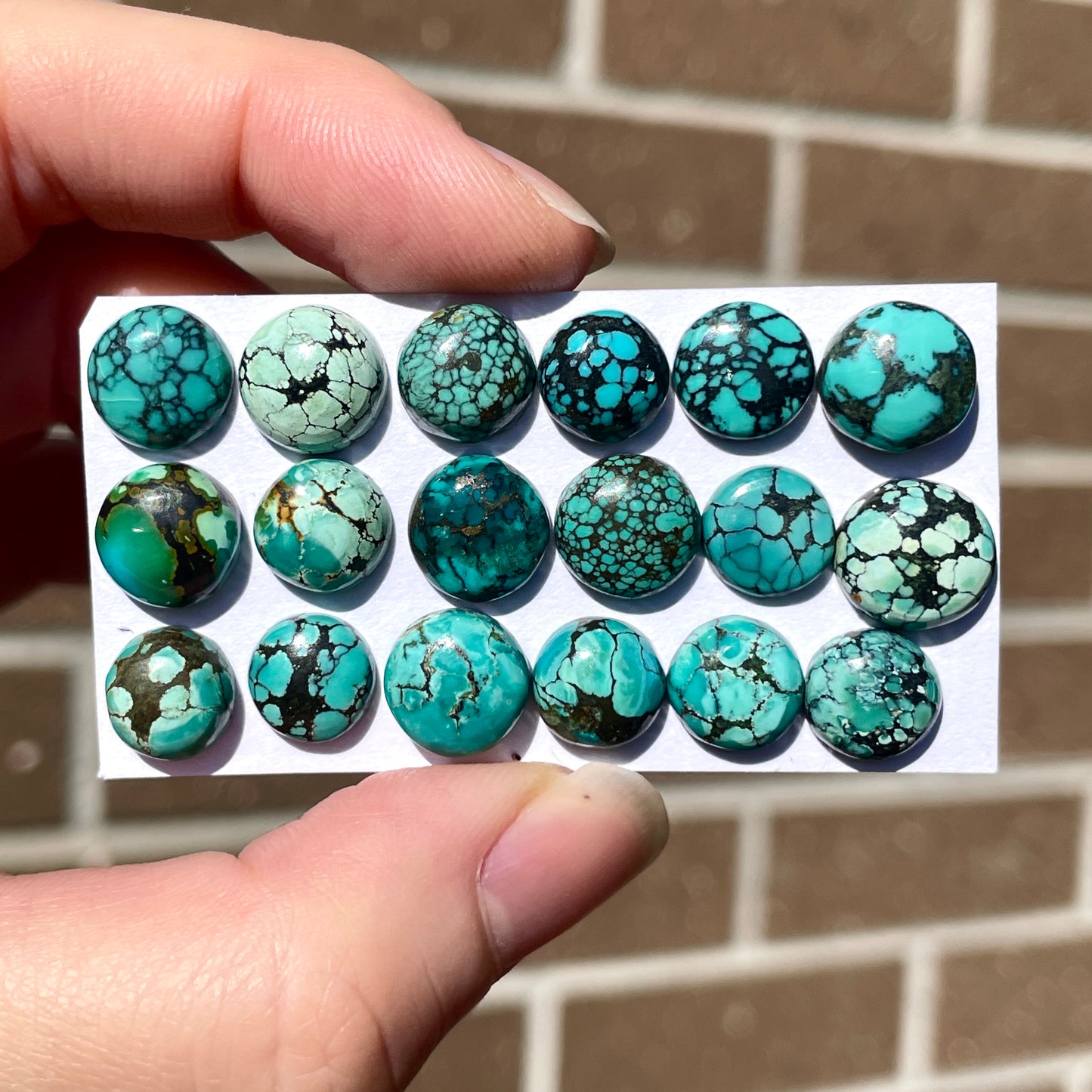 Tibetan Turquoise Round Cabochon Smooth (8mm to 10mm)  - Choose your Stone (W8)