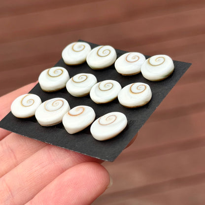 9-11mm Operculum Shell (Shiva's Eye) Round Cabochon Smooth - Choose your Stone (W16)
