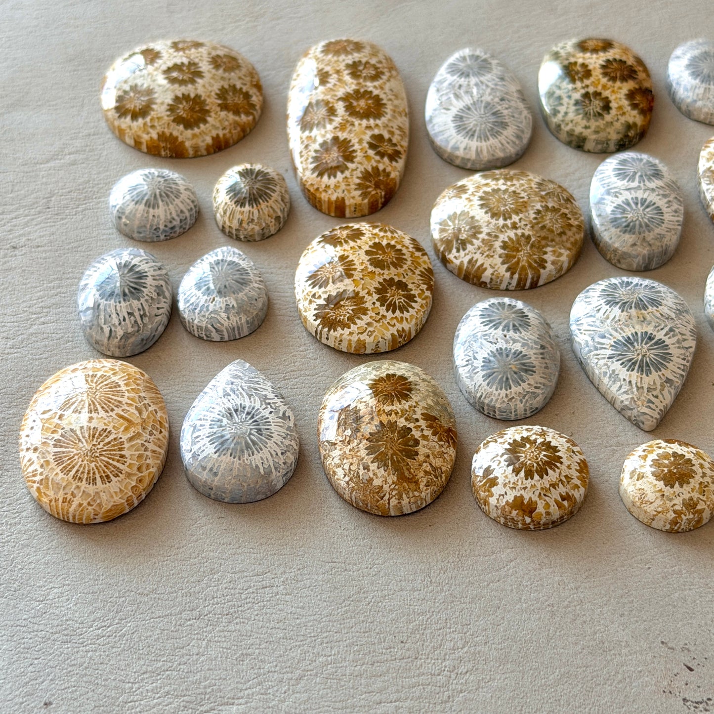 Beige/Cream/Grey Fossil Coral Cabochon Smooth - Choose your Stone (W12)
