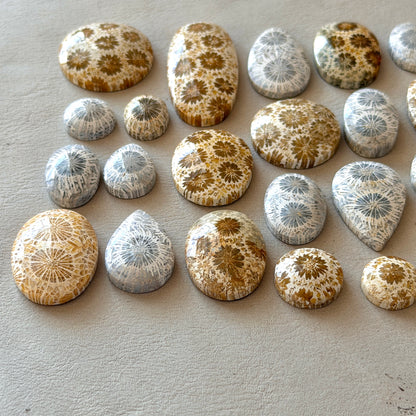 Beige/Cream/Grey Fossil Coral Cabochon Smooth - Choose your Stone (W12)
