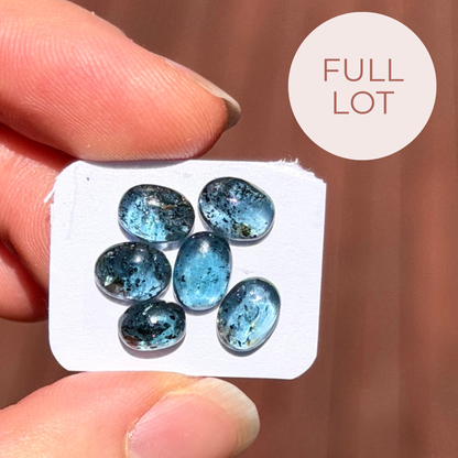 6pcs Teal Moss Kyanite Cabochons Smooth Oval - 7-8mm (FULL LOT) (W14)