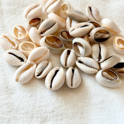 17-22mm Cowrie Shells - Mixed Set of 3 (W15)