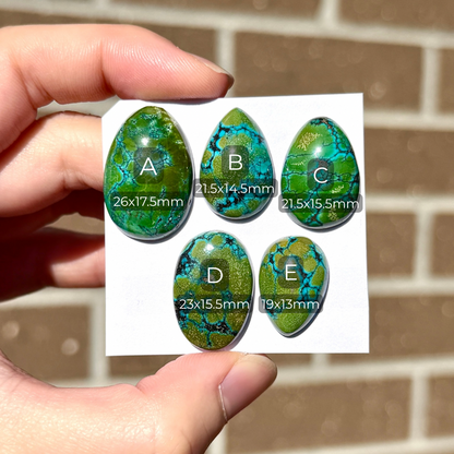 19-26mm Green with Bright Blue Veining Hubei Turquoise Cabochon Smooth (Backed) - Choose your Stone (W11)