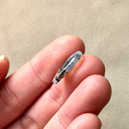 ‘Rooted Together' Dendritic Opal Agate Teardrop Cabochon - 17.5mm x 8.5mm (W3)