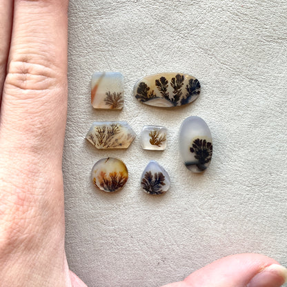 8-22mm Scenic Dendritic Agate Cabochon Smooth - Choose your Stone (H)